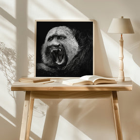 White-Faced Saki #2 Poster