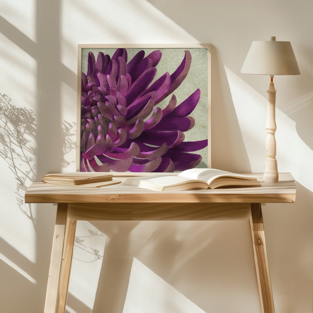 Chrysanthemum Purple Poster