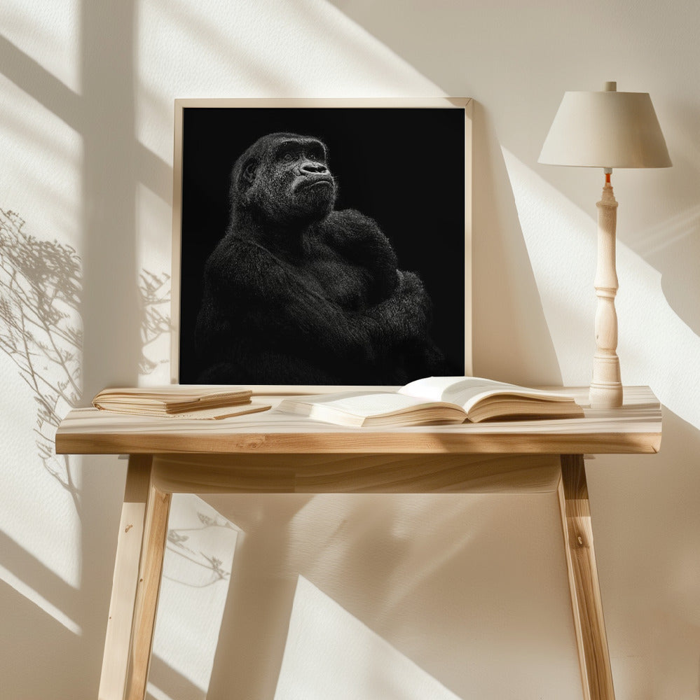 Gorilla Poster