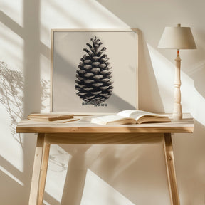 Pine Cone Poster