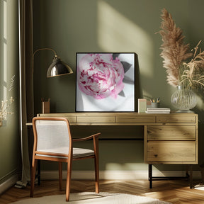 Pink peony III Poster