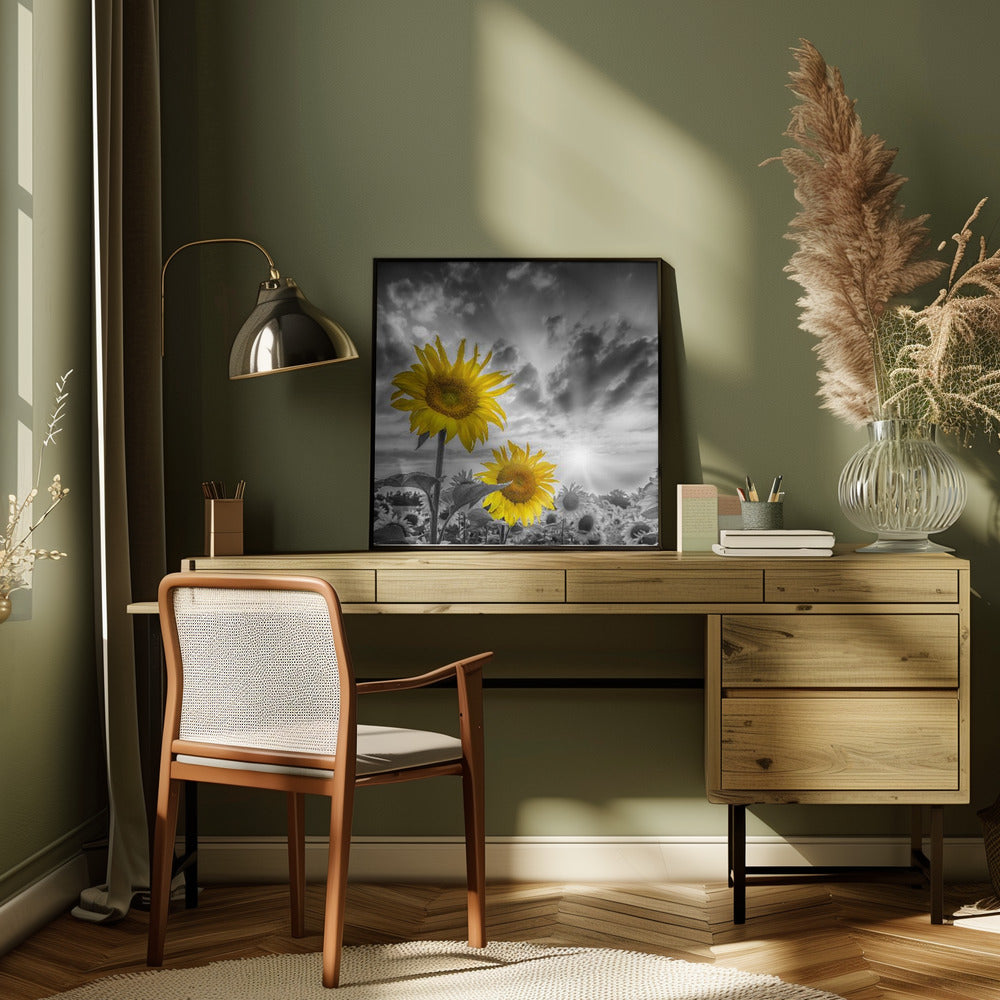 Focus on two sunflowers Poster