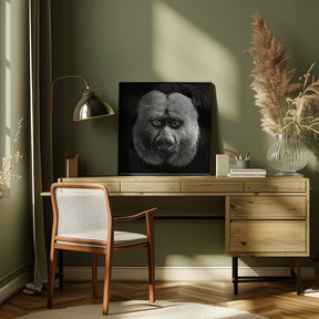 White-Faced Saki Poster