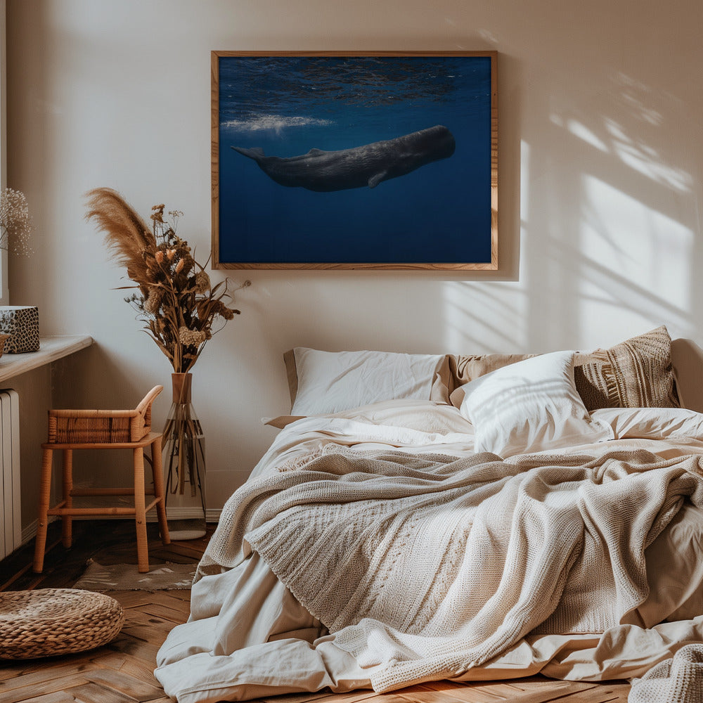 Sperm whale Poster