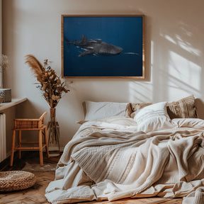 Whale shark Poster