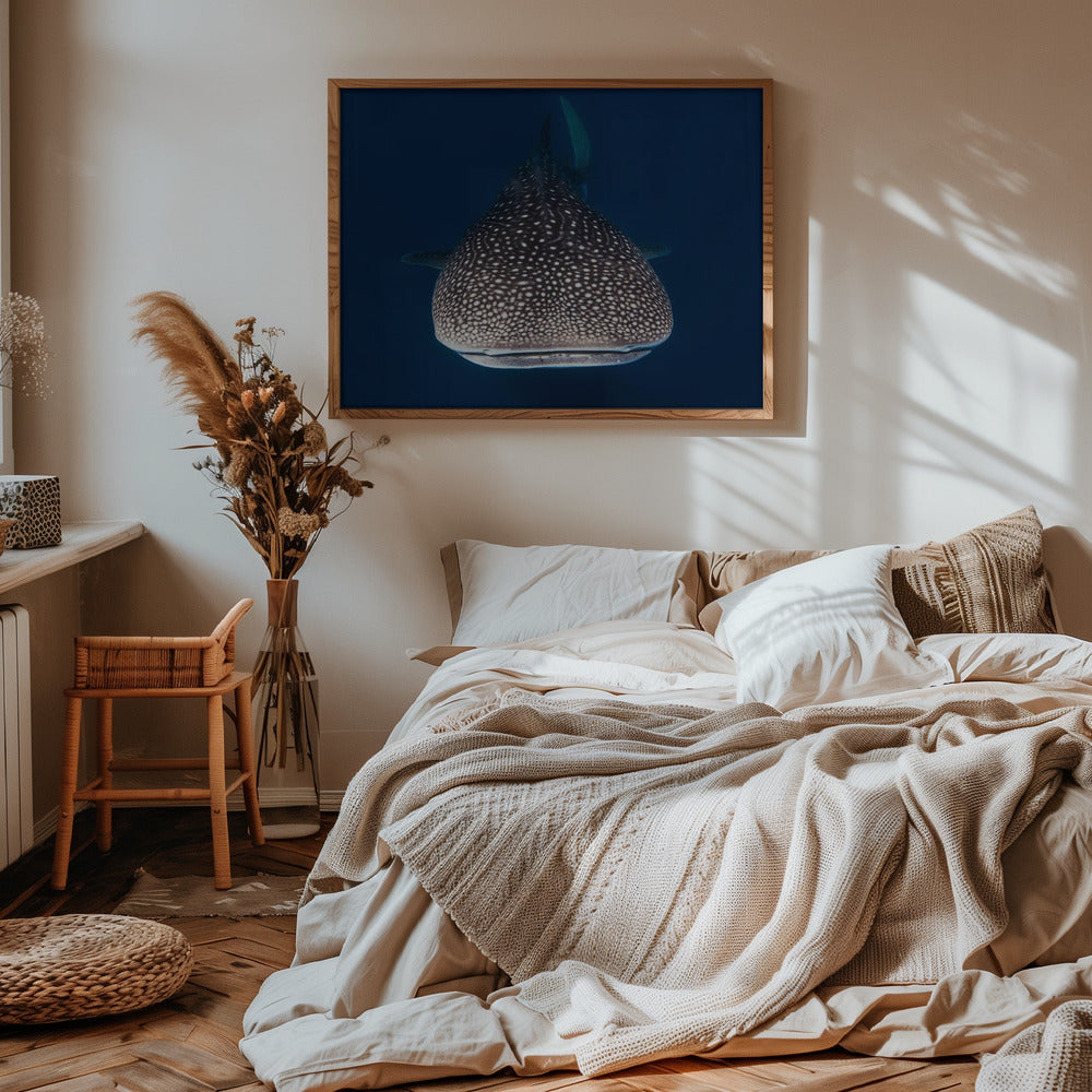 Whale Shark Poster