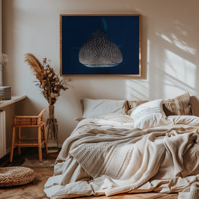 Whale Shark Poster