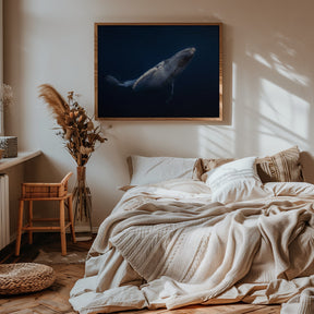 Humpback Whale Poster