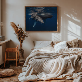 Humpback Whale family! Poster