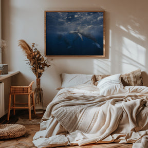 Humpback Whale Poster