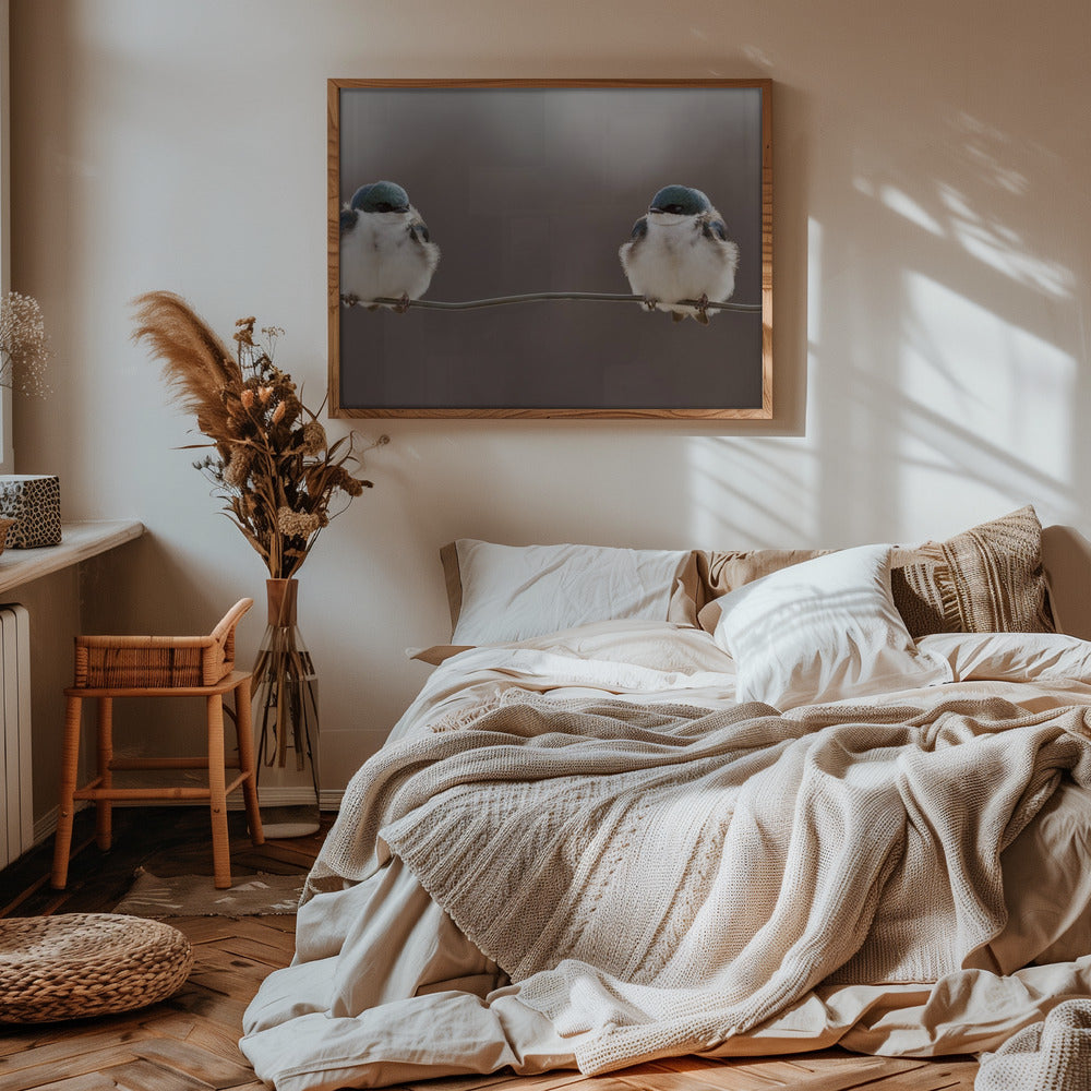 Birds on a wire Poster