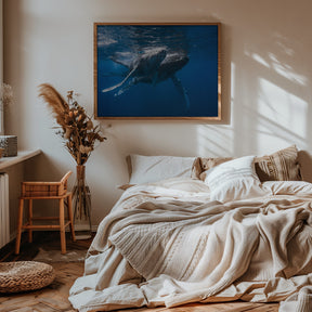 Humpback whale Poster