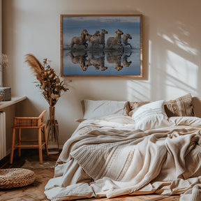 Horses and reflection Poster