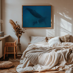 Humpback whales Poster