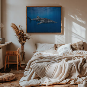 Whale shark in the blue Poster