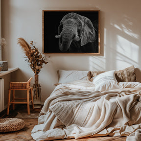 African Elephant Poster