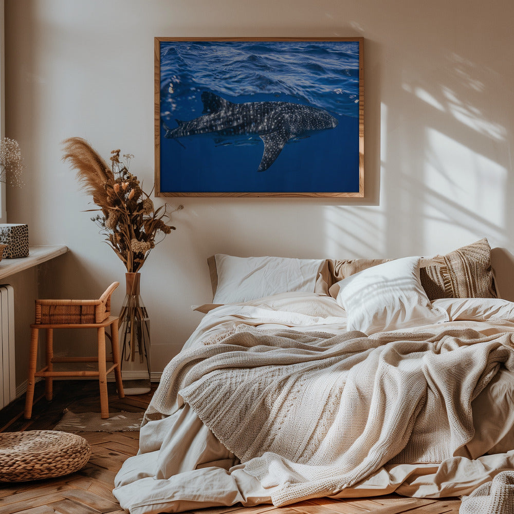 Whale shark : The biggest fish of the world Poster