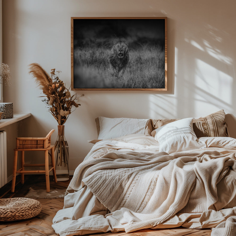 SERIOUS CONTENDER Poster