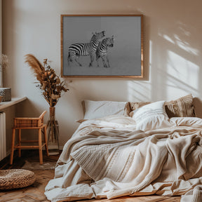 Zebras Poster