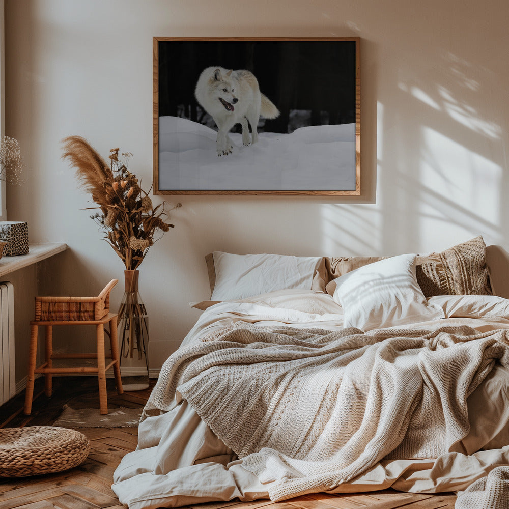 Out of The Dark Poster