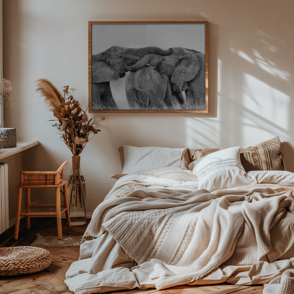 Elephant Playing Poster