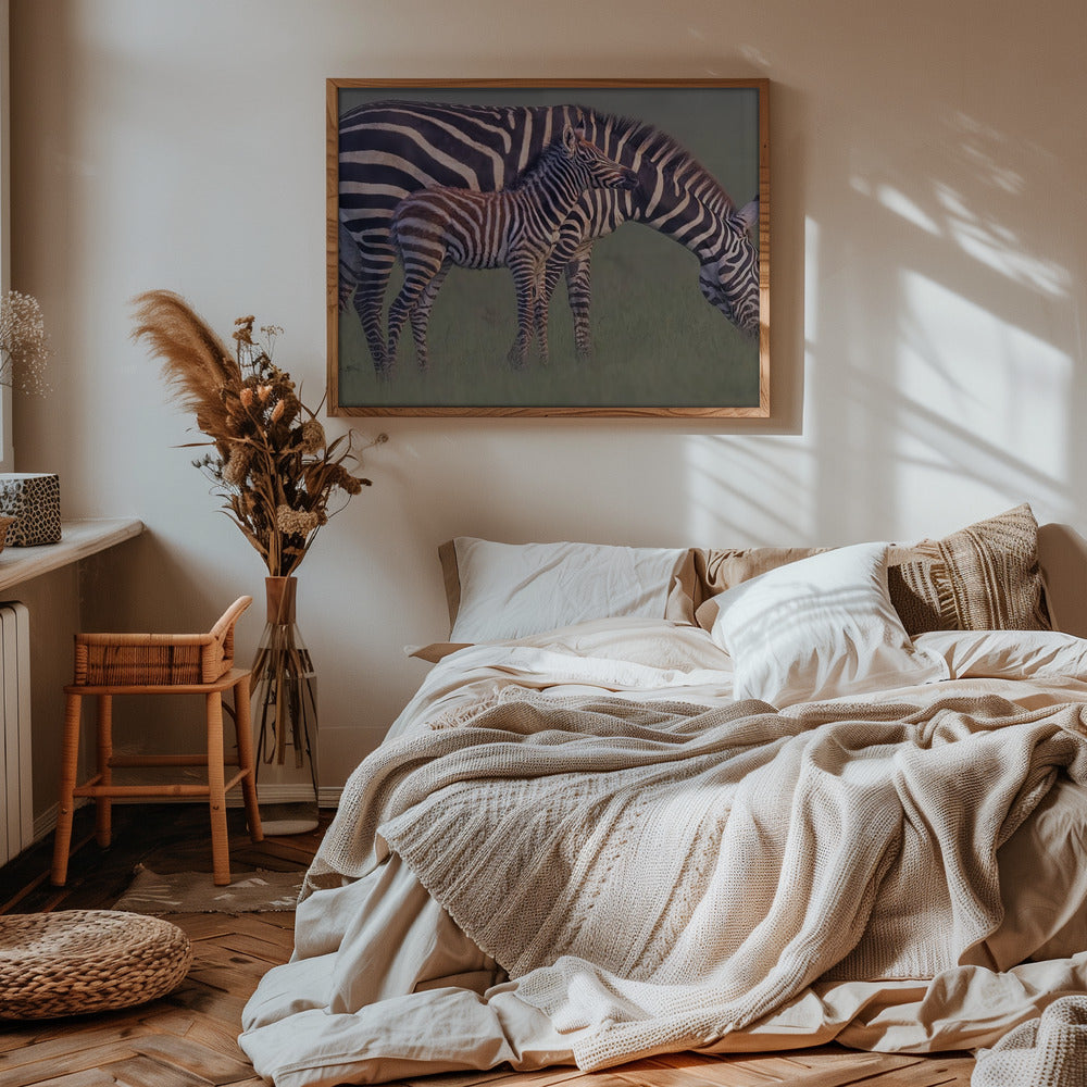 Baby Zebra Poster