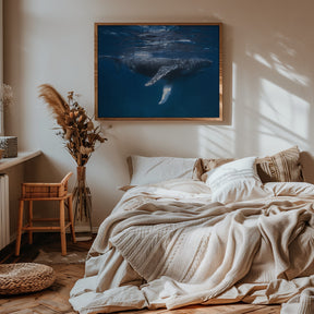 Humpback Whale Escort Poster