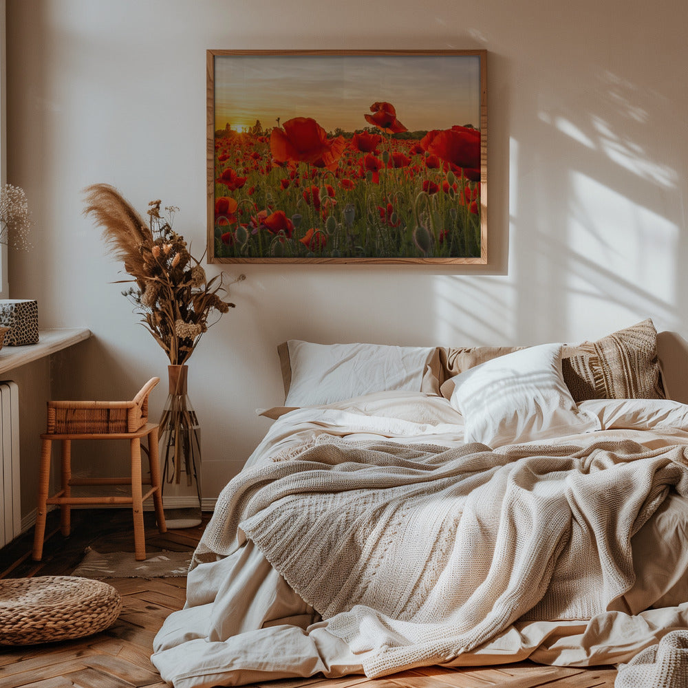 Setting sun in field of poppies | Panoramic Poster