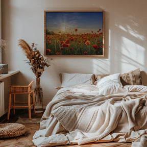 Poppy idyll in sunset Poster