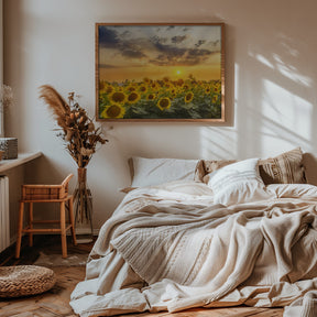 Sunflower field at sunset | Panoramic View Poster