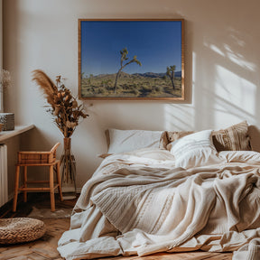 Joshua Tree National Park Impression Poster