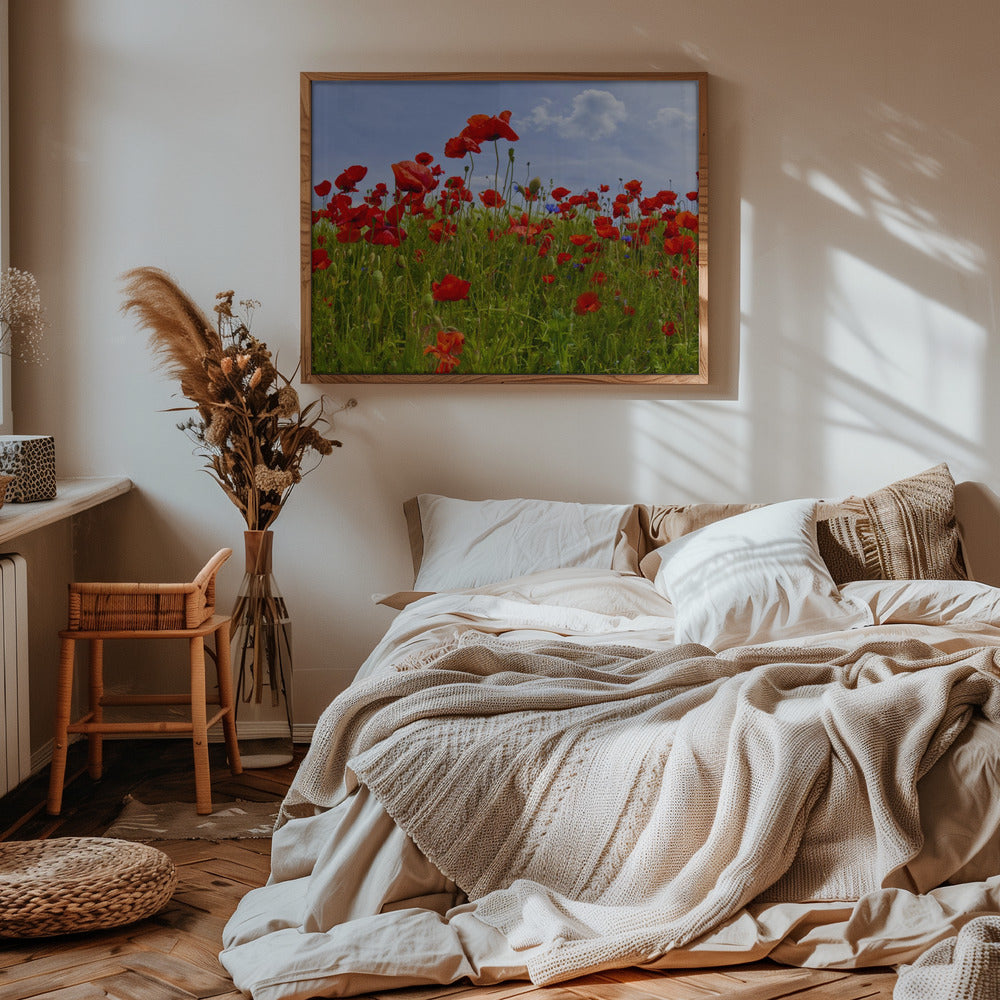 Field of Poppies | panoramic view Poster