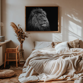 Lion Poster