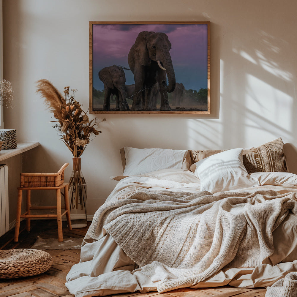 Elephants Poster