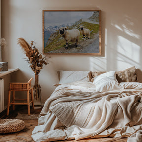 Sheep in the Swiss Alps Poster