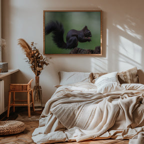 squirrel on wood with perfect pose Poster