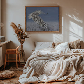 Snowy Owl Poster