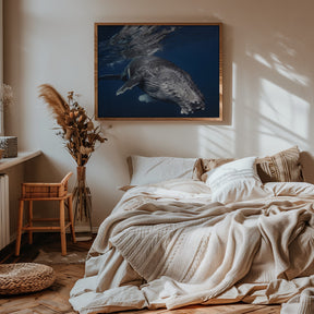 Humpback Whale Poster