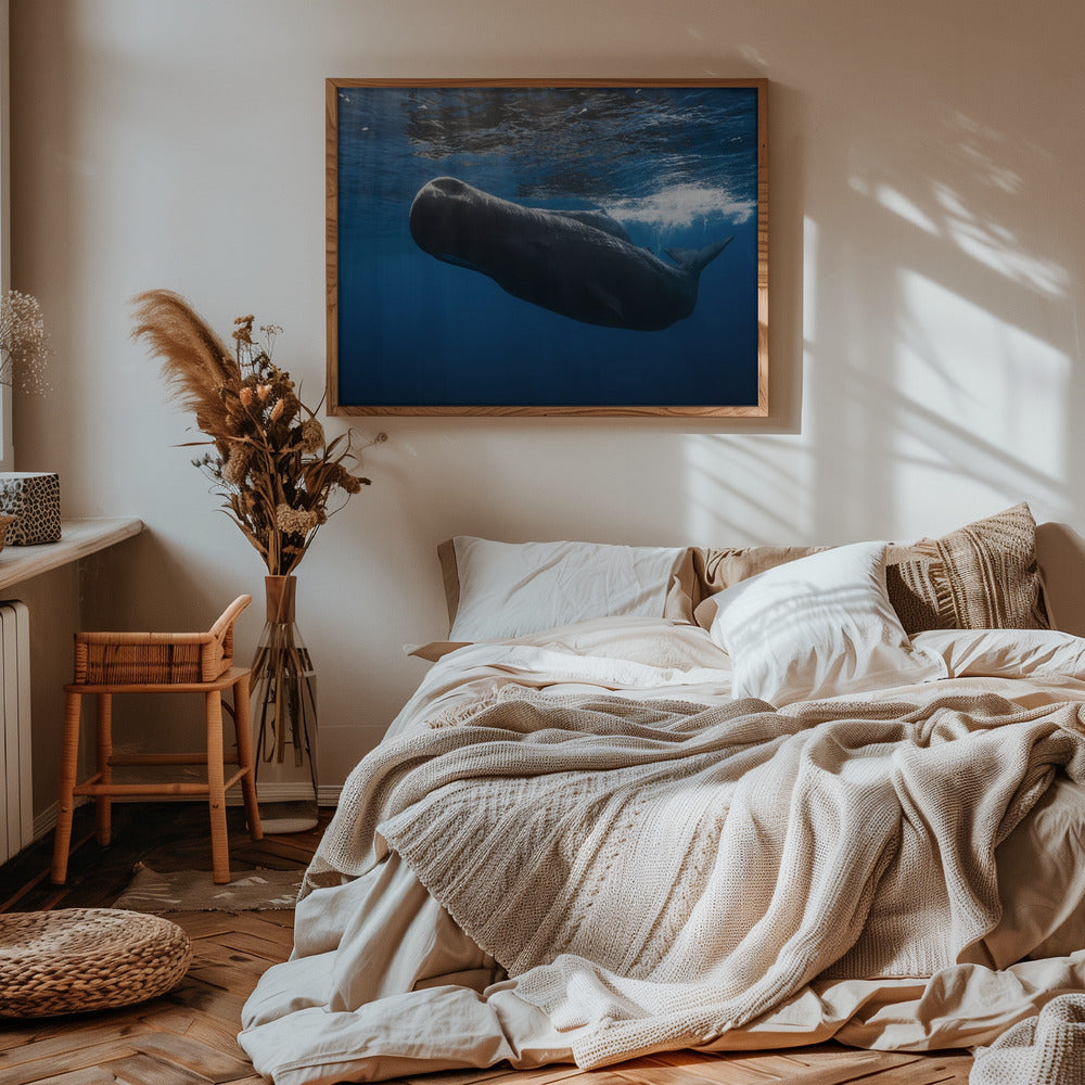 Sperm whale Poster