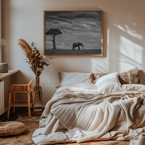 Elephant Landscape Poster