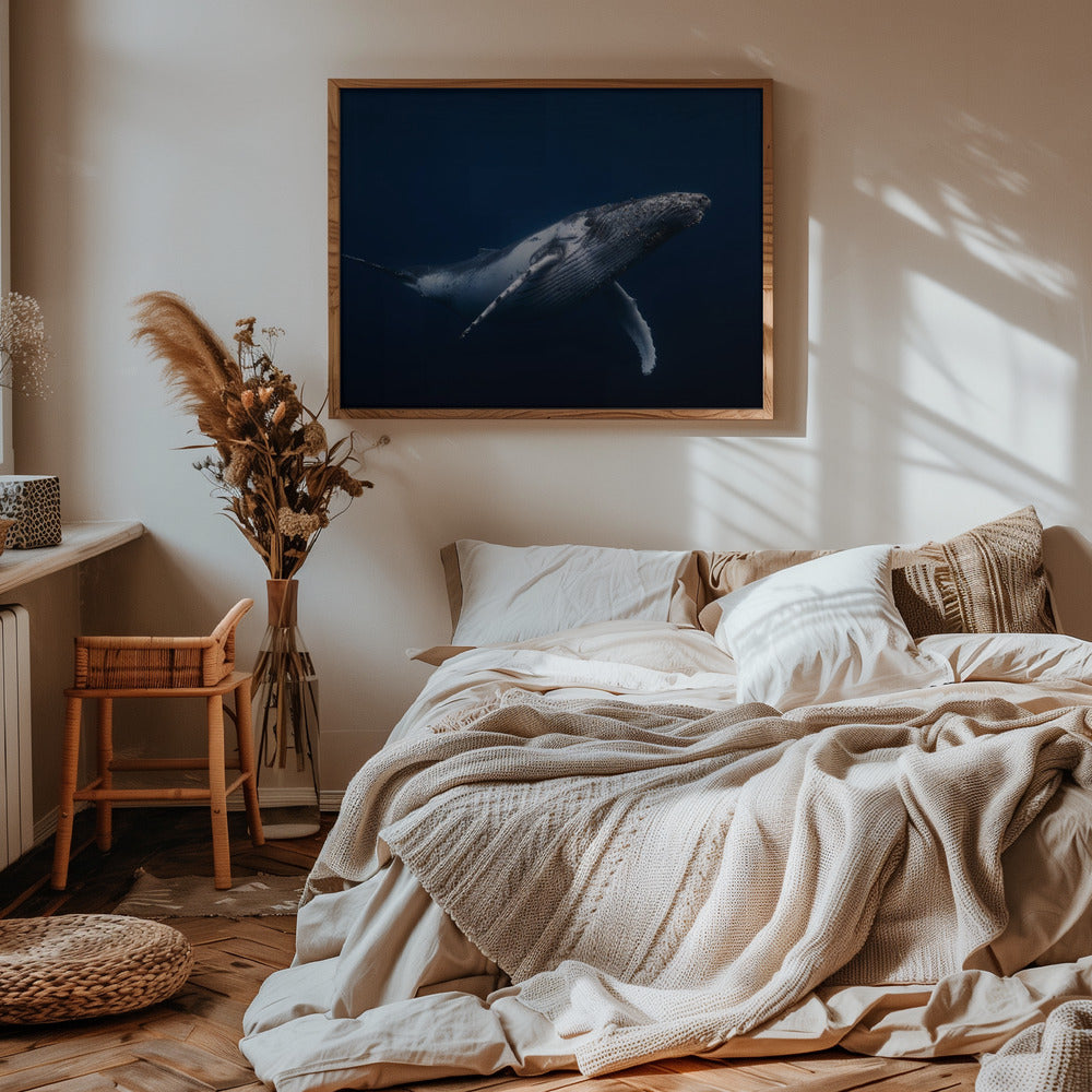 Humpback whale in blue Poster