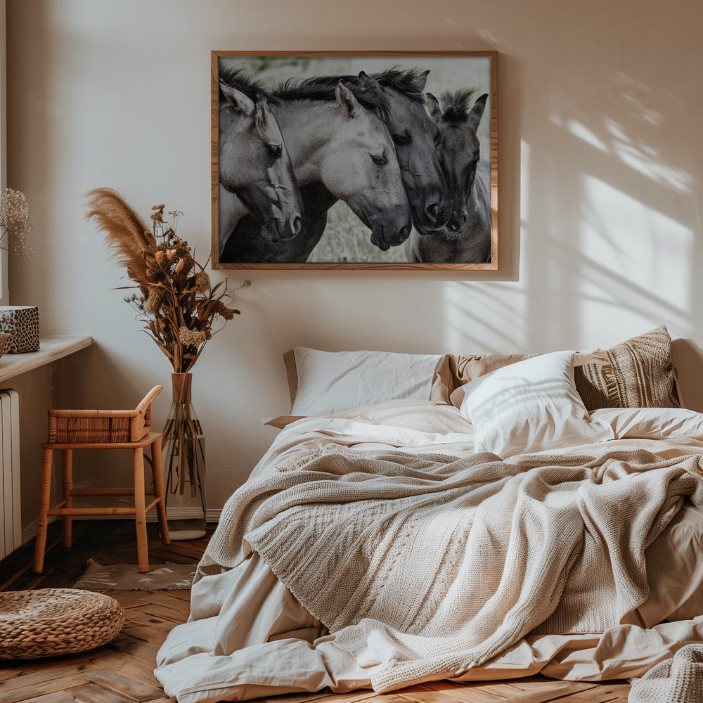 Four Konik Horses Poster