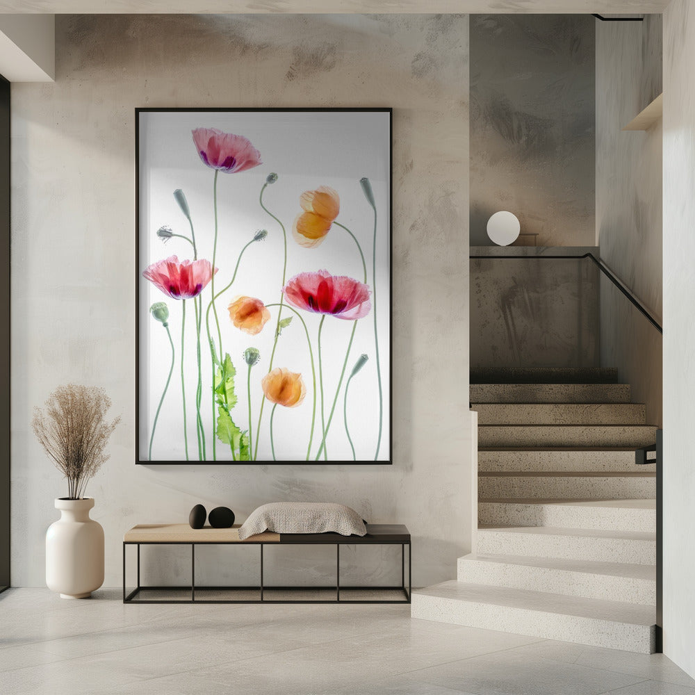 Poppies Poster