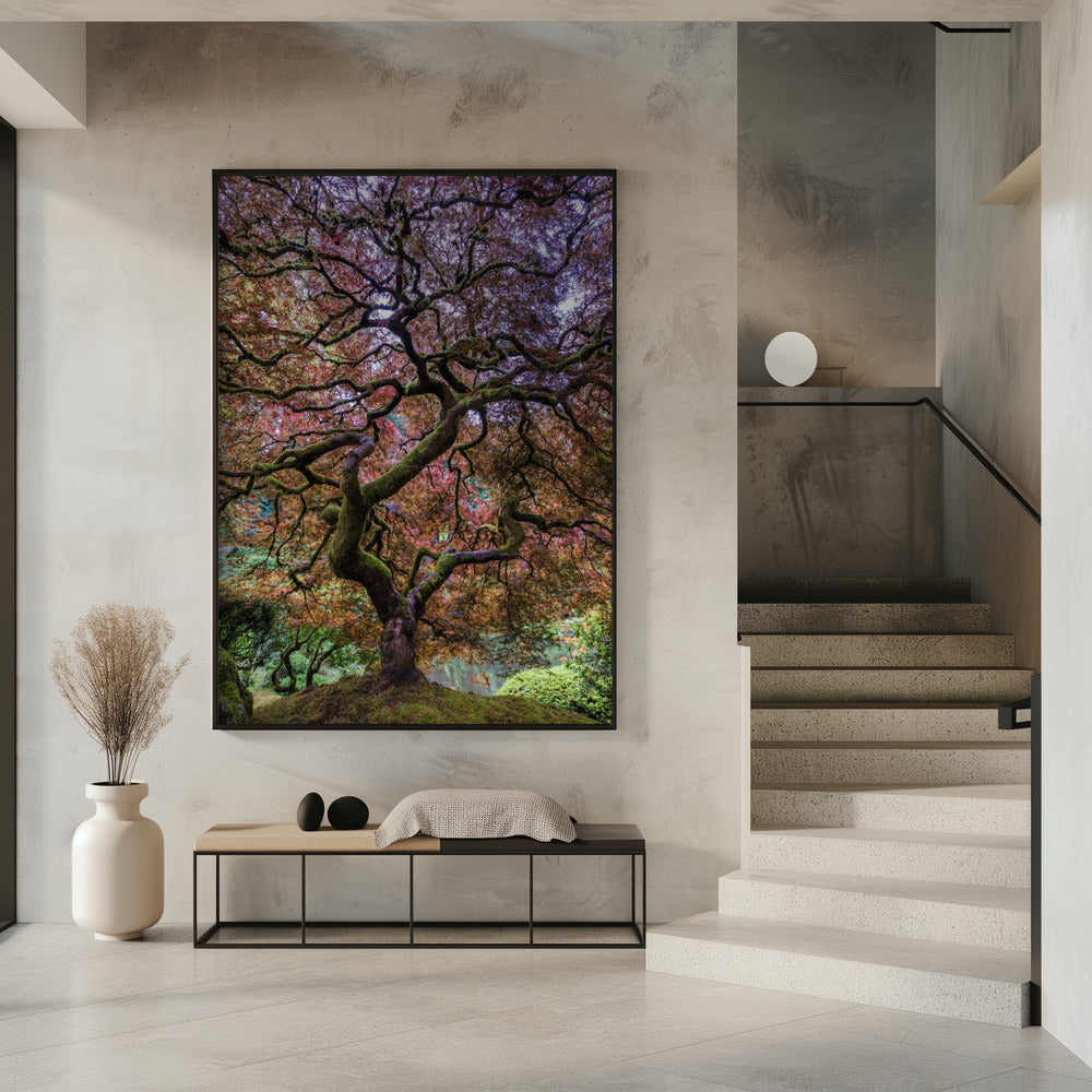 Japanese Maple Tree Poster