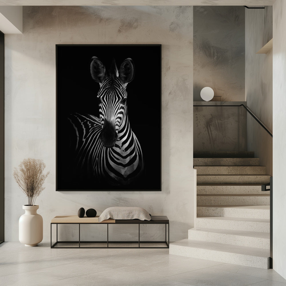 The Zebra Poster