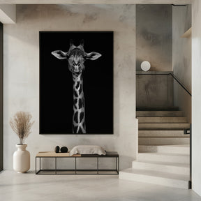 Giraffe Portrait Poster