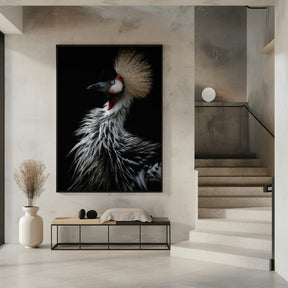 Crowned crane's portrait Poster