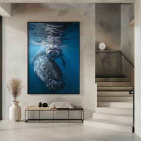 Humpback whale and calf Poster