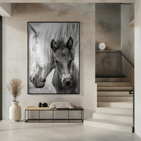 The Foal Poster