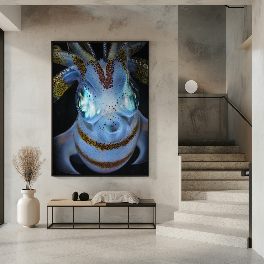 Squid close up Poster